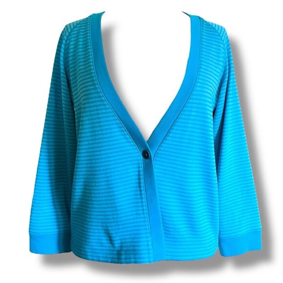 Icebreaker Womens Via 260 Merino Wool Cardigan Sz Medium Blue Stripe Sweater - Picture 1 of 5